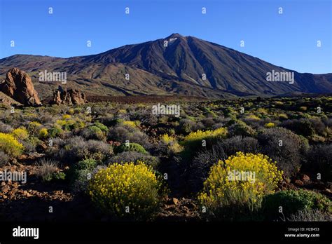 Roques De Garcia Mount Teide Las Canadas Sunrise Teide National