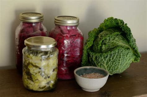 Lacto Fermentation Avec Ferments Lactiques Pour Conserver Les Aliments