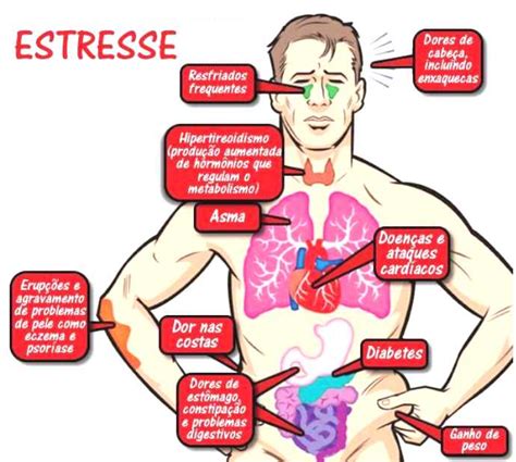 Controle Do Estresse Estresse Cr Nico Dr Maur Cio Egydio S O Roque