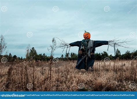 A Scary Scarecrow With A Halloween Pumpkin Head In A Field In Cloudy