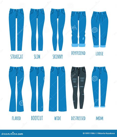 Raccolta Di Stili Dei Jeans Delle Donne Illustrazione Vettoriale