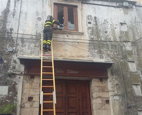 Tentano Di Forzare Portone Sede Casa Editrice A Cosenza Colpo Fallisce