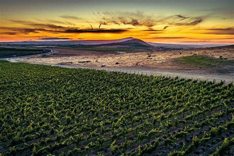 Wine Photography | Bottle Shots, Aerial Vineyard Photos & More