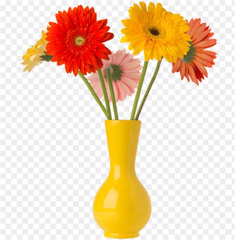 Flor Show Gerbera Flower Vase PNG Transparent With Clear Background