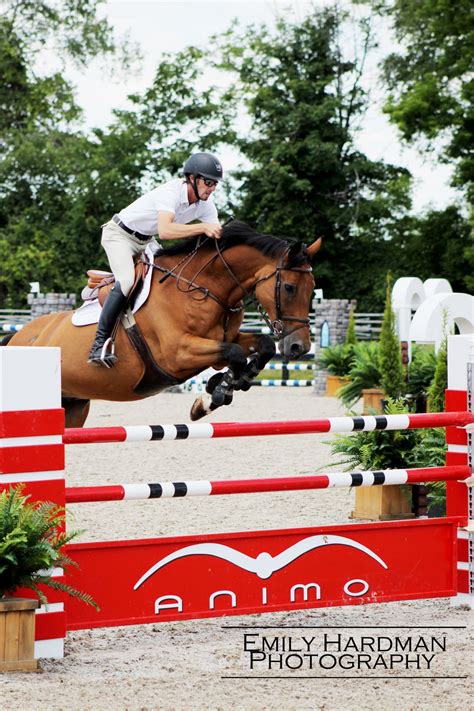 Пін від користувача Володимир Кисіль на HORSE ... Коні... | Коні