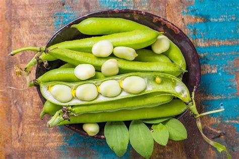 20 Types Of Beans To Cook And Plant With