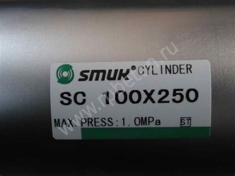Пневмоцилиндр SC 100x250