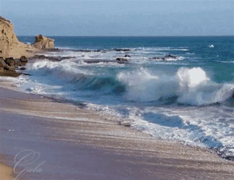 Beach GIF - Beach - Discover & Share GIFs