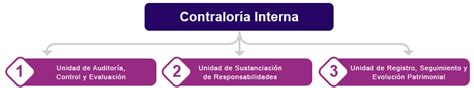 Contralor A Interna