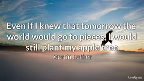 30 Tree Plantation Quotes to Inspire the Environmentalist in You