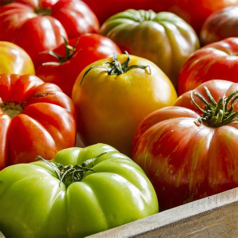 The 5 Best Beefsteak Tomato Varieties To Grow In Your Garden