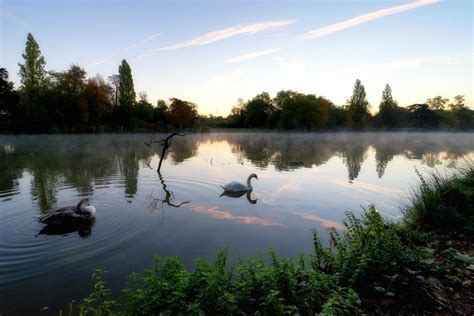 Daumesnil Lake Paris Landscapes Website Buy Fine Art Hassan