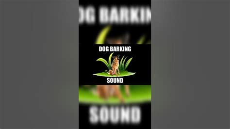 Dog Barking Sound Effect Dog Barking Sound 5 Free Sound Effects