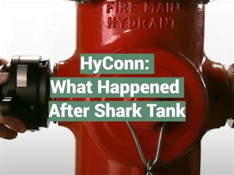 How Do You Roll What Happened After Shark Tank Sharktankwiki