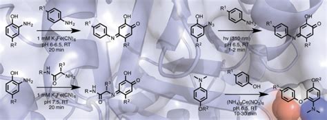 Protein Modification Francislab