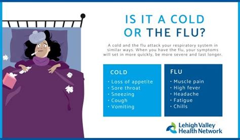 Influenza Flu Shots Lehigh Valley Health Network