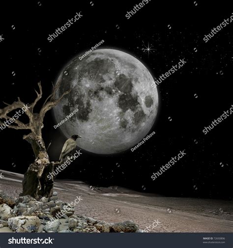 Moon Vision Mystic Background Your Desktop Stock Photo 72650896 ...