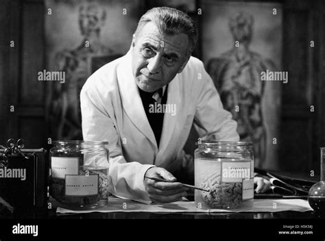 Frankenstein 1931 - Movie Poster Stock Photo: 123967106 - Alamy