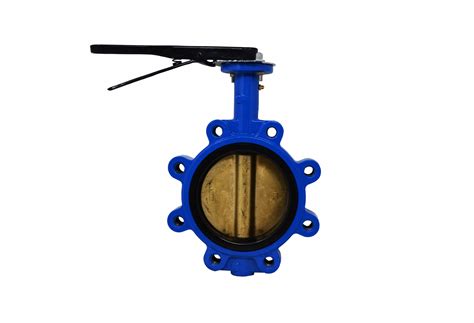 200 Psi Lug Style Butterfly Valve Ductile Iron Body X Aluminum Bronze Disc X Buna Seat 10