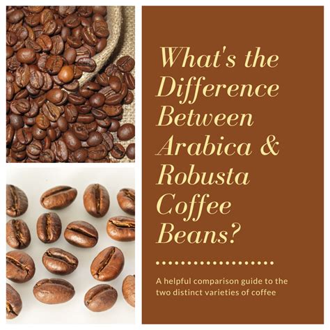 What Is the Difference Between Arabica and Robusta Coffee Beans? | Delishably