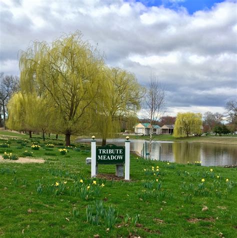 Services and Information for Fairview Cemetery 2