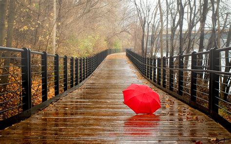 Rainy Umbrella Wallpapers Top Free Rainy Umbrella Backgrounds