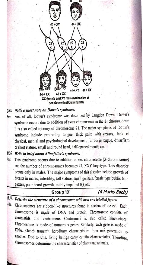 SCIENCE CLASS 10 UNIT 17 Chromosomes And Sex Determination Revival