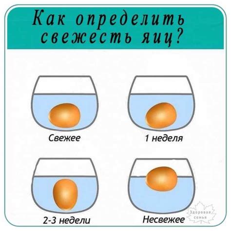 Как отличить свежее яйцо от тухлого