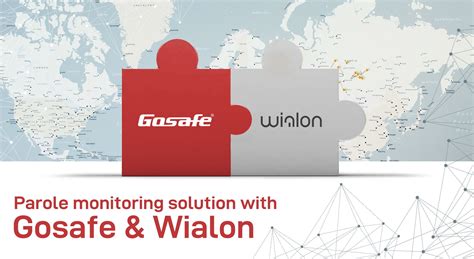 Parole Monitoring Solution With Gosafe Wialon Gosafe