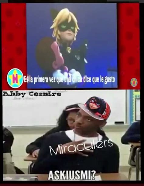 Pin De Hi En MLC Memes De Miraculous Ladybug Memes De Ladybug