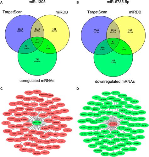 Frontiers Downregulation Of Mirna Mir And Upregulation Of Mirna