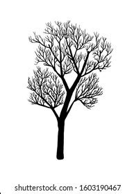 Naked Tree Silhouette Hand Drawn Vector Stock Vector Royalty Free