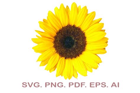 Sunflower Svg Graphic By Narcreativedesign · Creative Fabrica