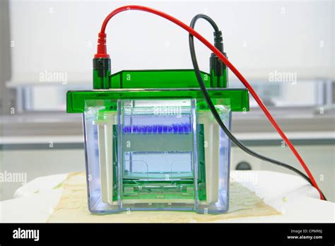 Electroforesis En Gel Fotograf As E Im Genes De Alta Resoluci N Alamy