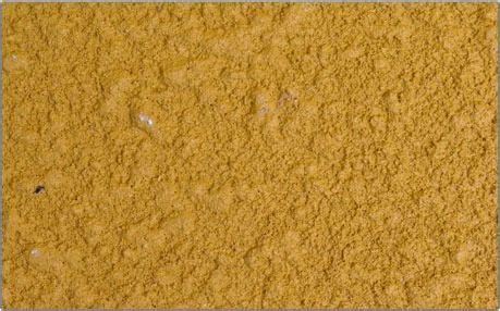 Spray Coat Painting Services in Ahmedabad | ID: 7836091512