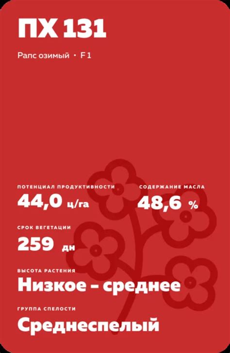 ПХ 131 - рапс озимый. Характеристики и отзывы