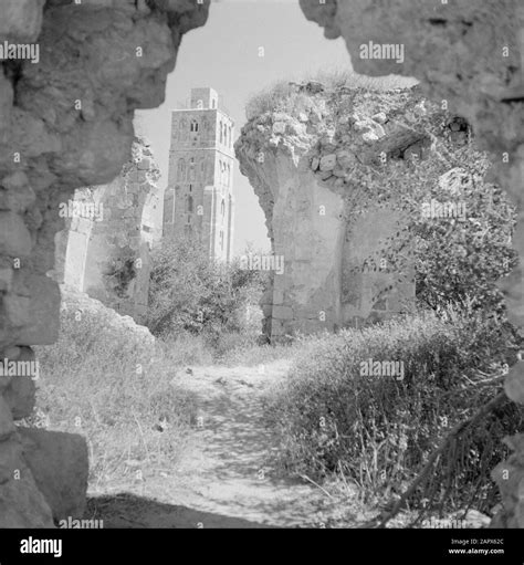 Ramle Ruins Of The White Mosque Overlooking The White Tower Showing