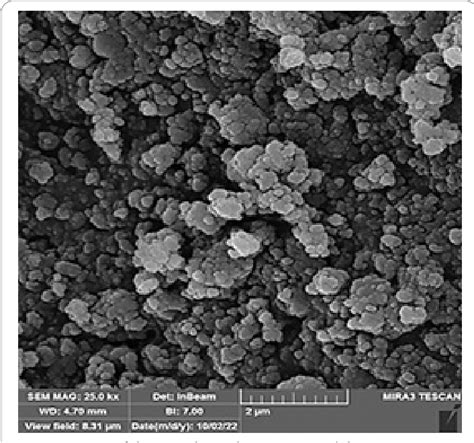 Figure 1 from Novel incorporation of charged hydroxyapatite ... 