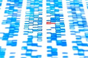 Präparate gegen Krebs aus Minifabriken 2021 Wiley Analytical Science