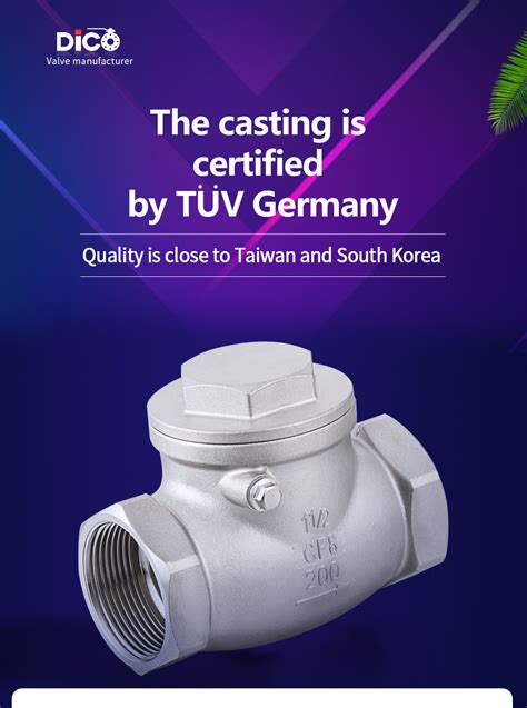 Stainless Steel Thread End 200 Wog Swing Check Valve China Check