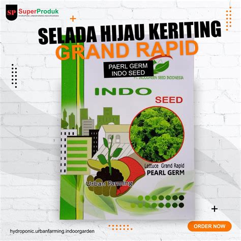 Jual Benih Selada Keriting Lettuce Grand Rapid Pearlgem Enza Zaden