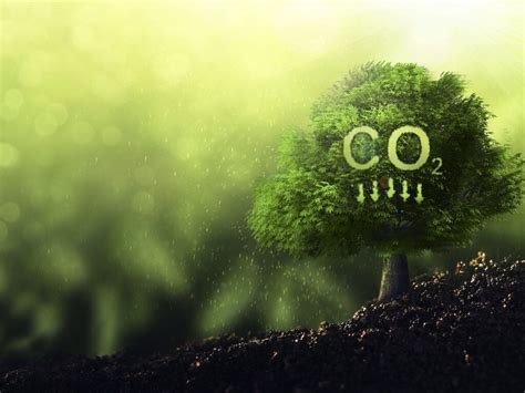 How To Significantly Reduce The Carbon Footprint Of Your Compressed Air