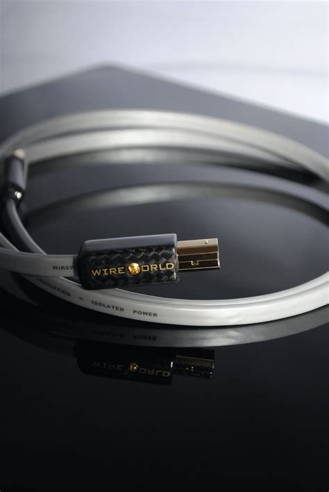 Platinum Starlight 8 USB 2 0 Digital Audio Cable Wireworld Cable