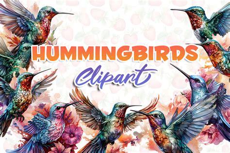 Hummingbirds Clipart Graphic by CrittersHub · Creative Fabrica