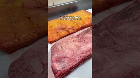 Look At That Yellow Fat Steak Beef Youtube