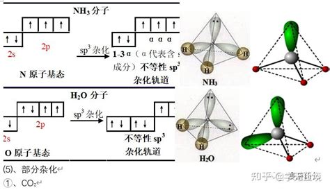 史上最易理解杂化轨道理论图解） 知乎