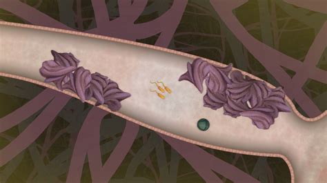 biorhythm on Steam