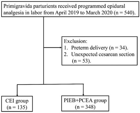 Healthcare Free Full Text Combined Programmed Intermittent Bolus