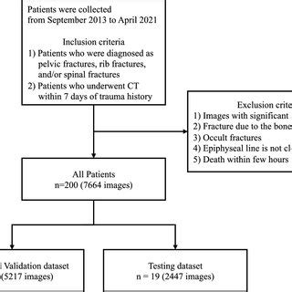 Flow Chart Showing The Overall Study Process Ct Computed Tomography