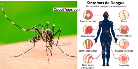 Alerta Sanitaria Por Brote De Dengue En Quibd Choc D As